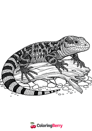 Hard Lizard