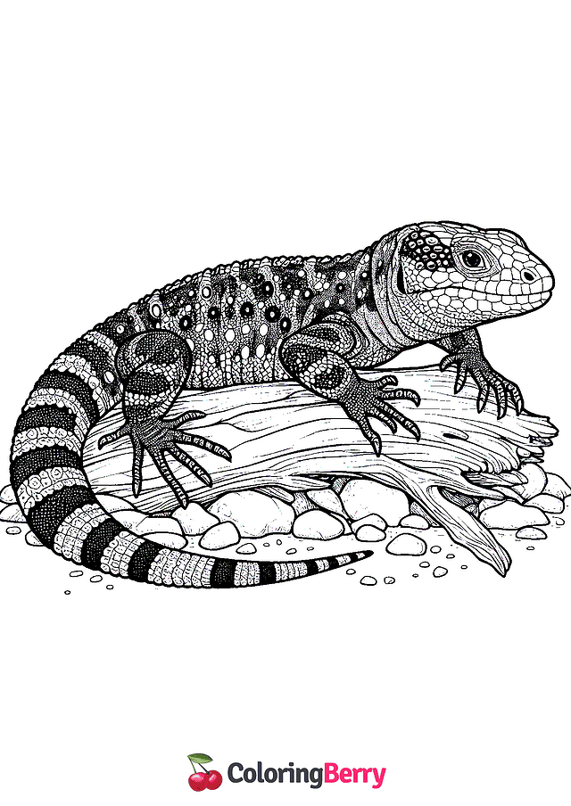 Hard Lizard Coloring Page