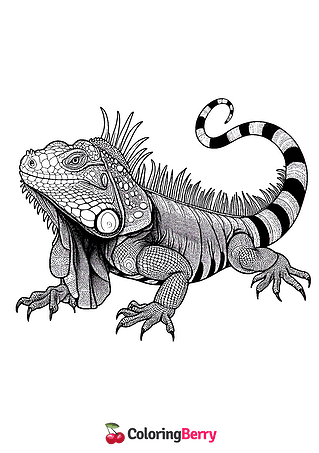 Iguana Lizard Coloring Page