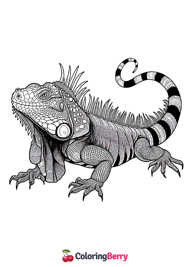 Iguana Lizard Coloring Page