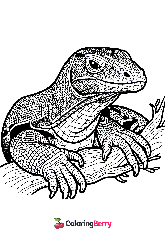 Komodo Dragon Lizard Coloring Page