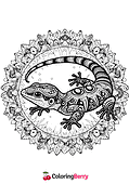 Lizard Mandala