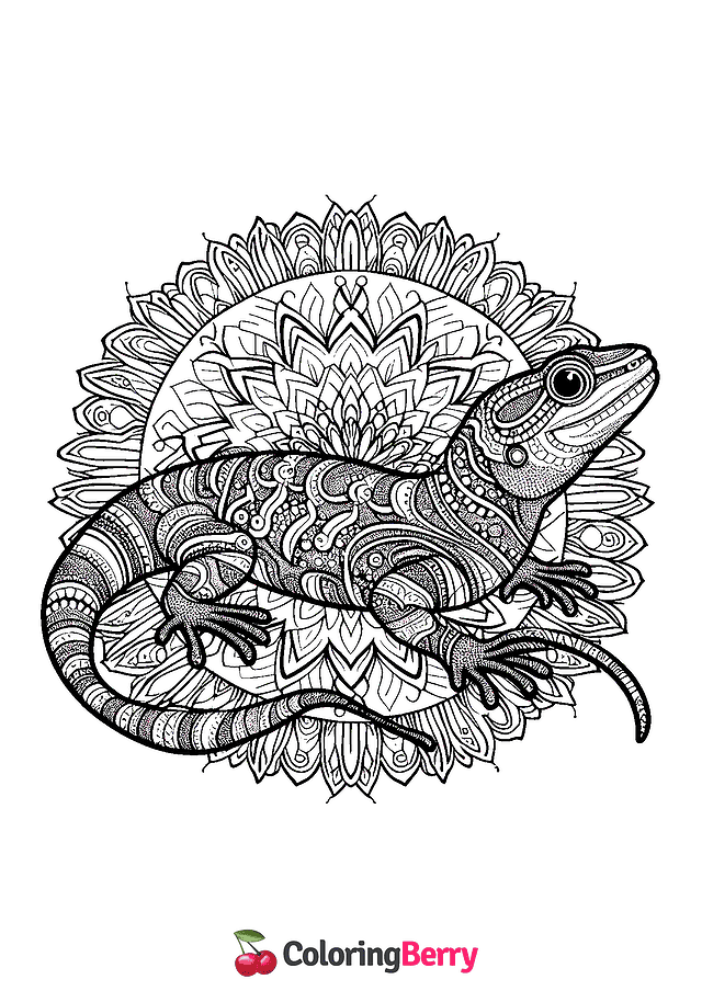 Mandala Lizard Coloring Page