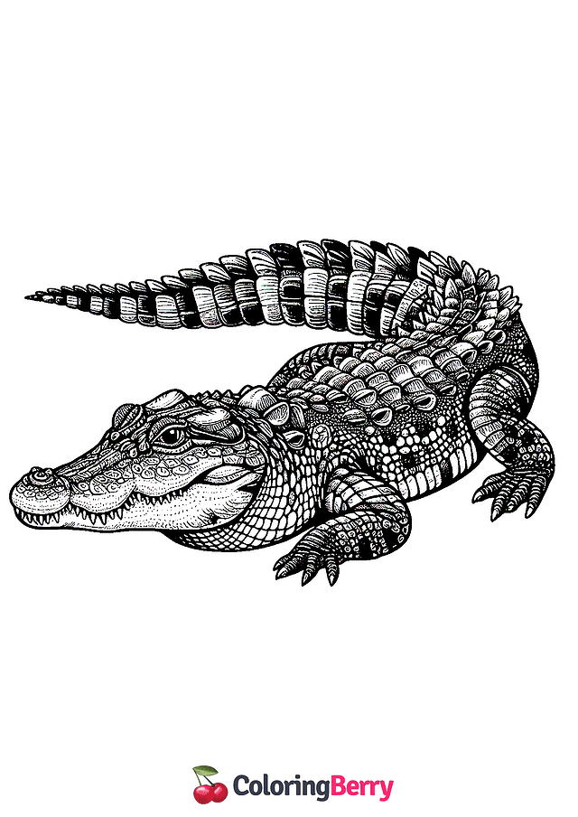 Realistic Crocodile Coloring Page