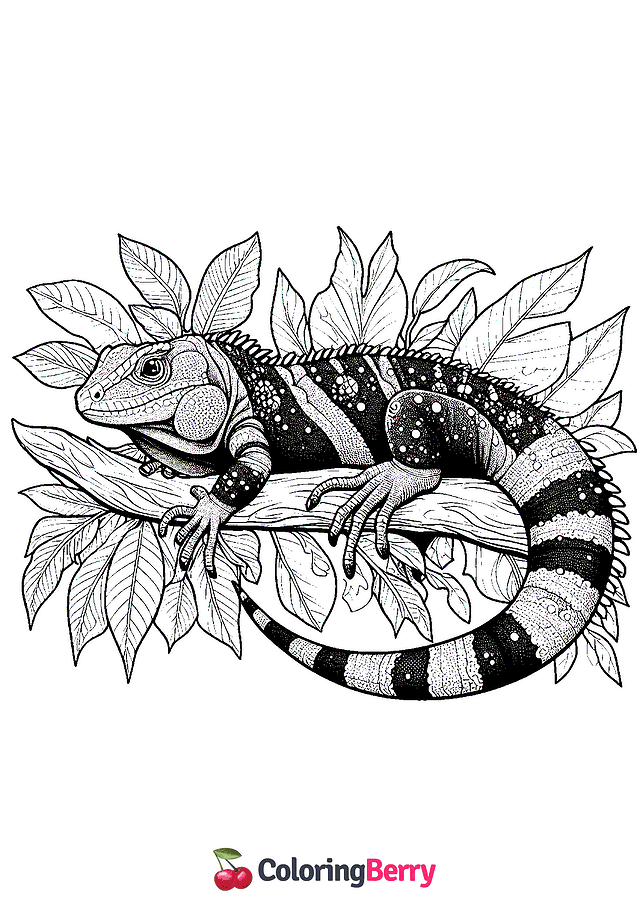 Realistic Lizard Coloring Page