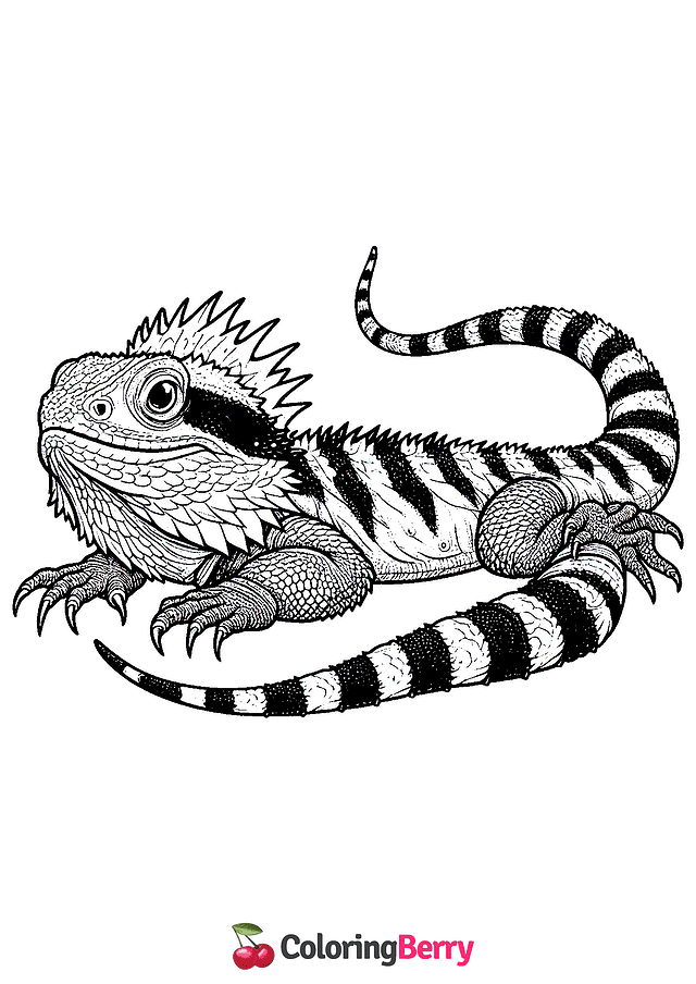 Water Dragon Coloring Page