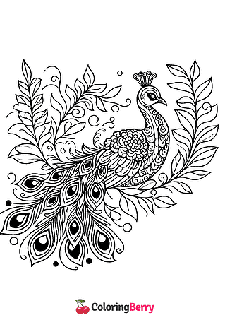 Advanced Peacock Coloring Page