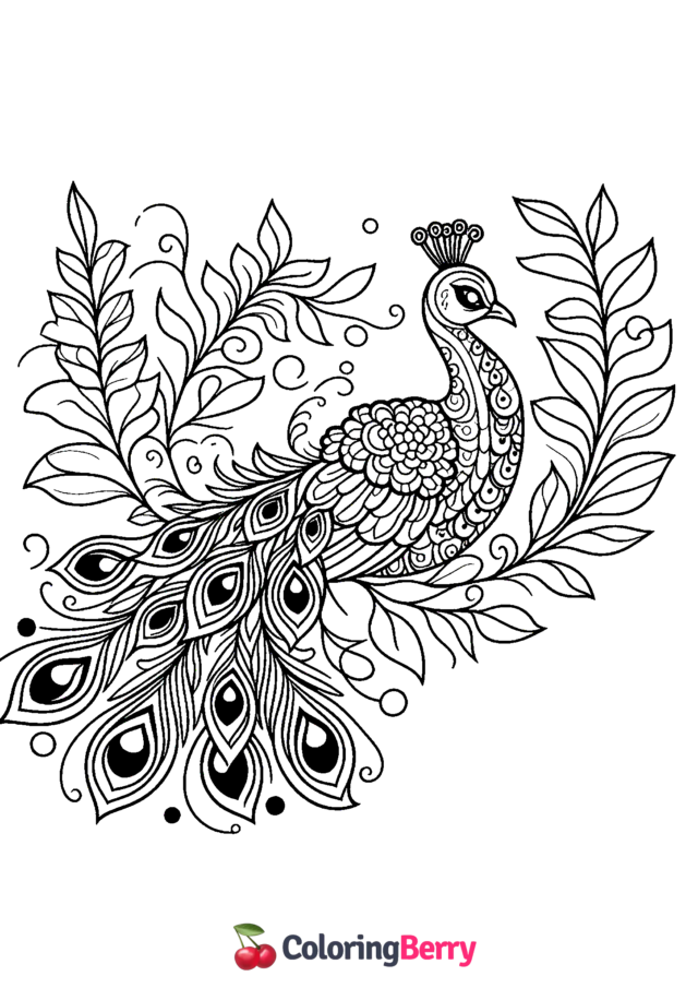 Advanced Peacock Coloring Page