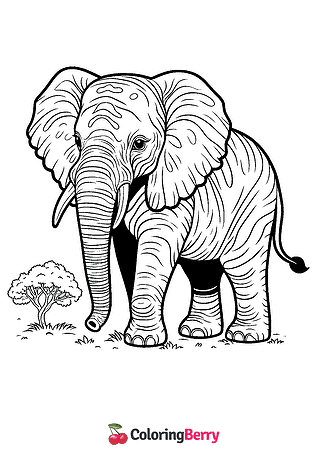 African Elephant Coloring Page
