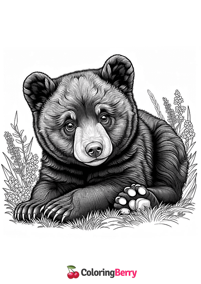 American Black Bear Cub Coloring Page