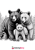 American Black Bear Family