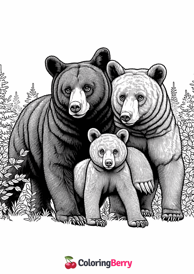 American Black Bear Family Coloring Page