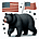 American Black Bears