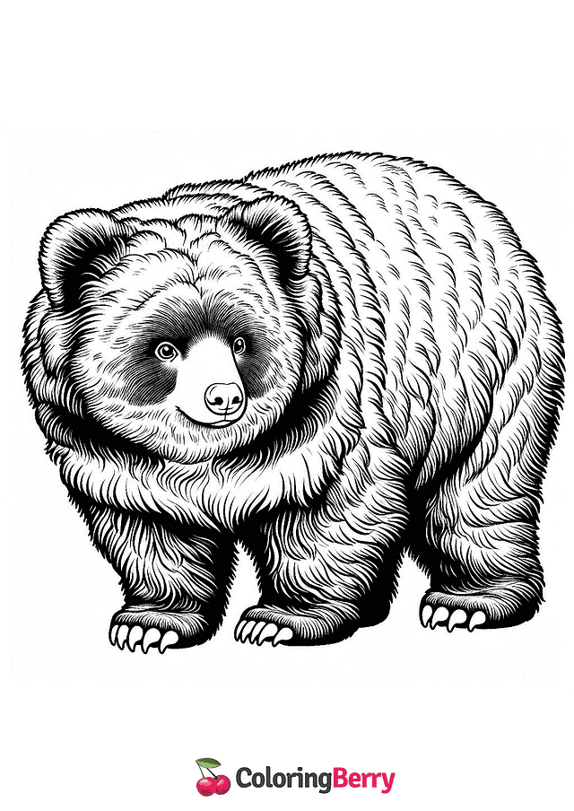 Andean Spectacled Bear Coloring Page