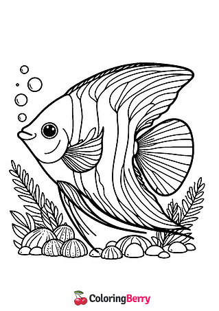 Angelfish Coloring Page