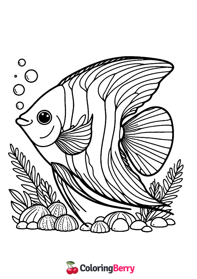 Angelfish Coloring Page