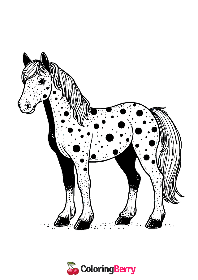 Appaloosa Horse Coloring Page