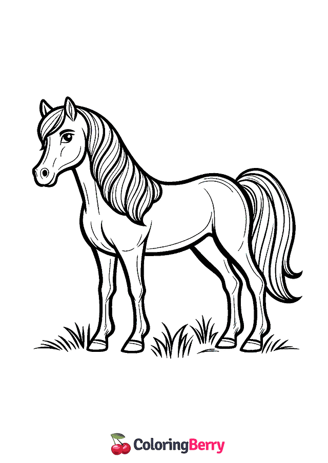 Arabian Horse Coloring Page