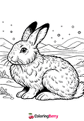 Arctic Hare