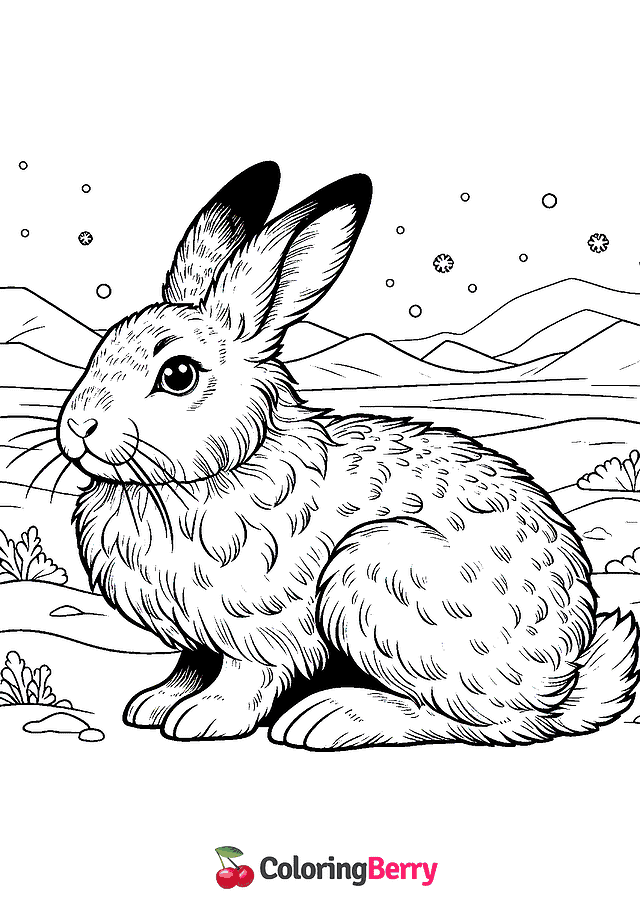 Arctic Hare Coloring Page