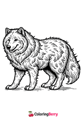 Arctic Wolf