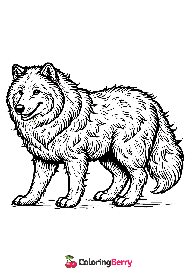 Arctic Wolf Coloring Page