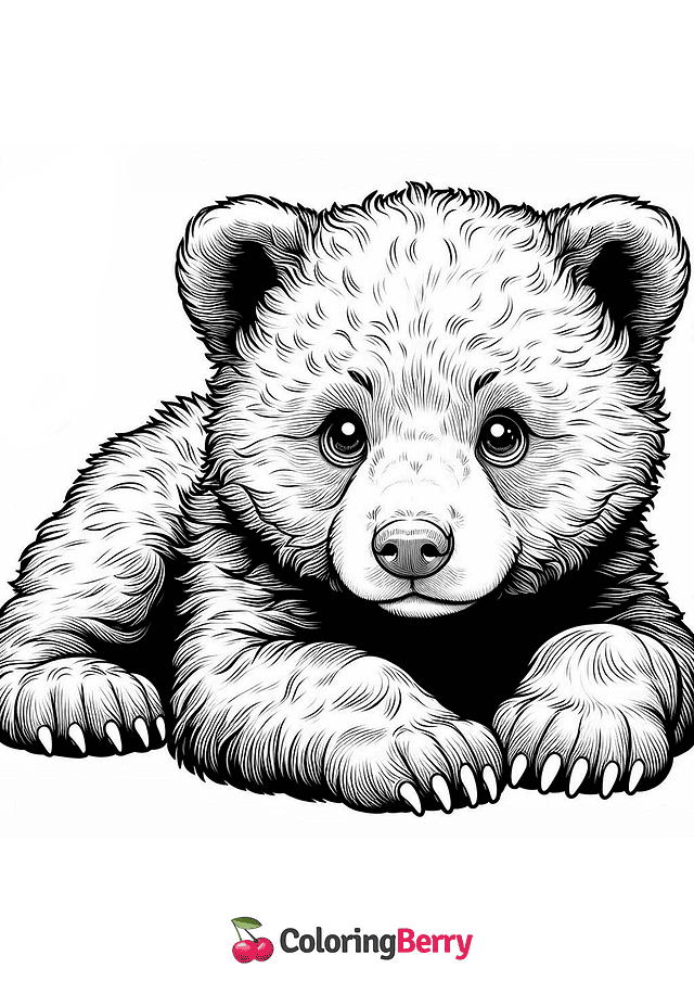 Asian Black Bear Cub Coloring Page