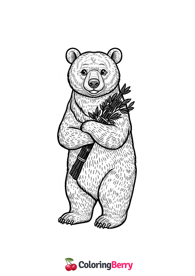 Asiatic Black Bear Coloring Page