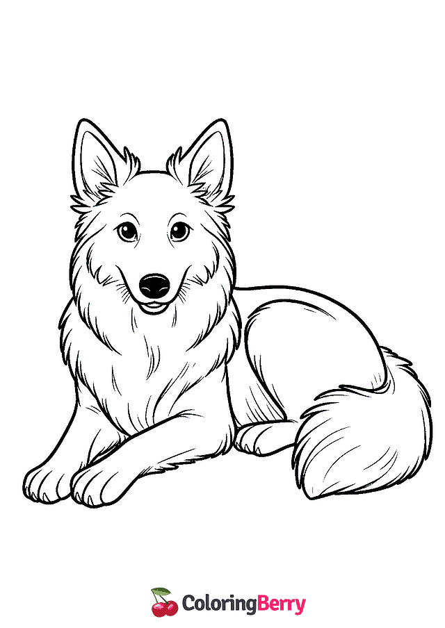 Australian Kelpie Dog Coloring Page