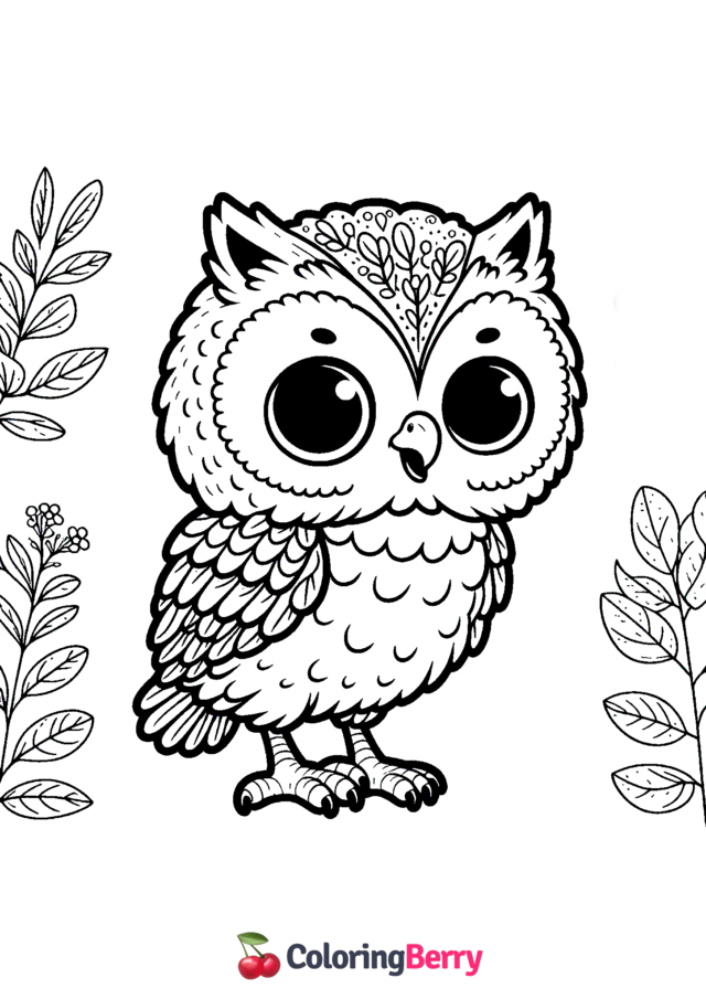 Baby Owl Coloring Page