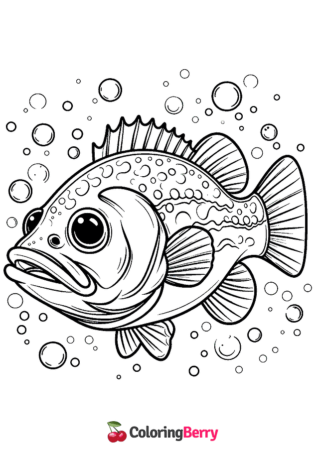 Bass Fish Coloring Page