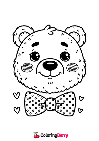 Bear Face
