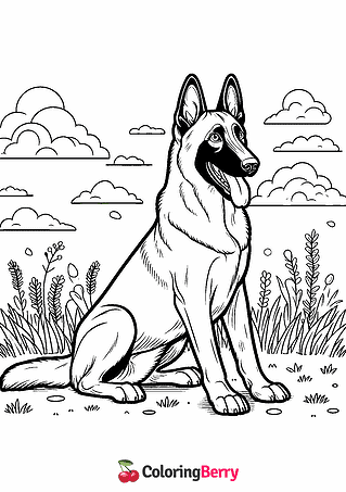 Belgian Malinois Coloring Page