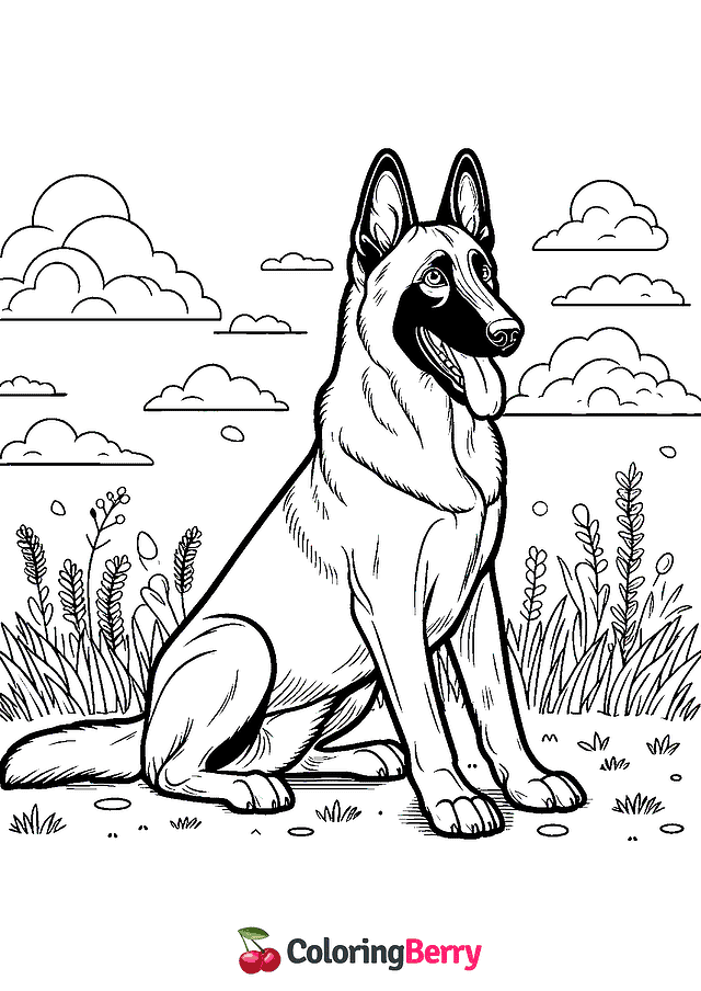 Belgian Malinois Coloring Page