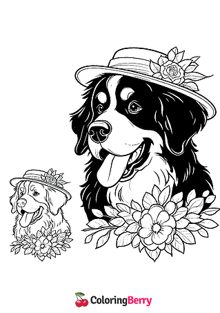 Bernese Mountain Dog Coloring Page