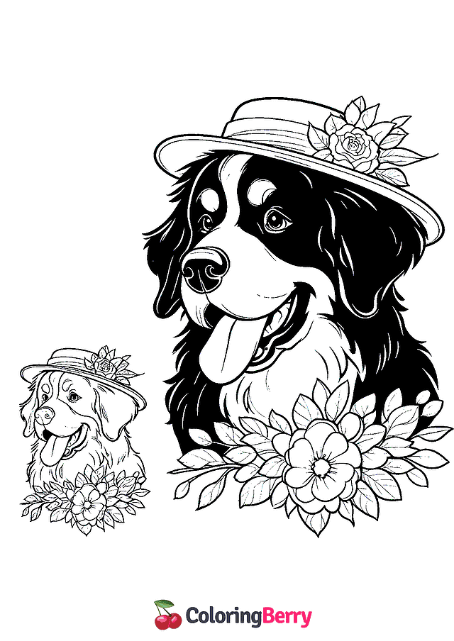 Bernese Mountain Dog Coloring Page