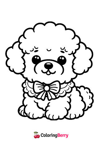 Bichon Coloring Page