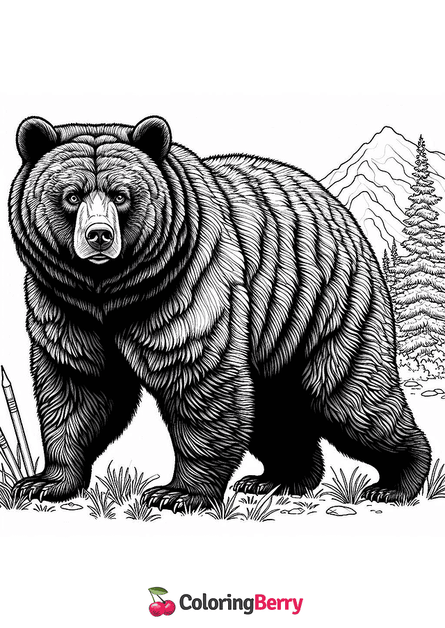 Black Bear Coloring Page