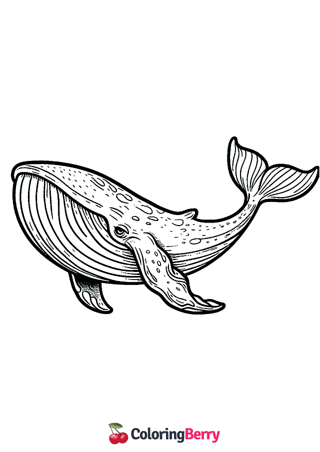 Blue Whale Coloring Page