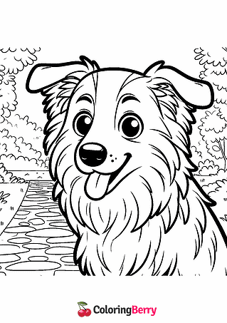 Border Collie Coloring Page