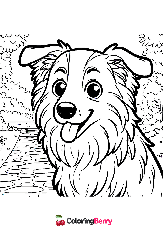 Border Collie Coloring Page