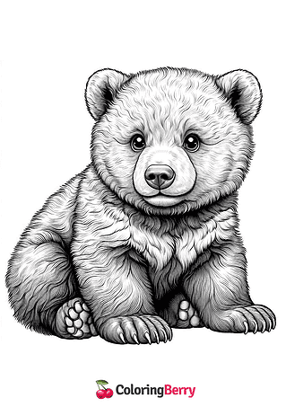 Brown Bear Cub