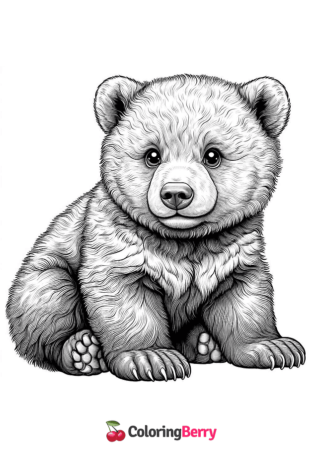 Brown Bear Cub Coloring Page