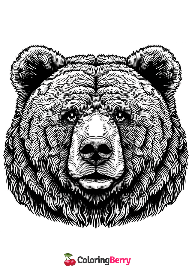 Brown Bear Face Coloring Page