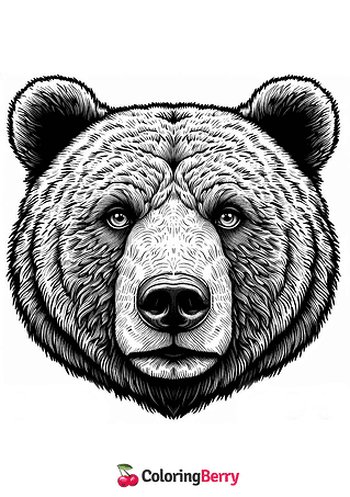 Brown Bear Head