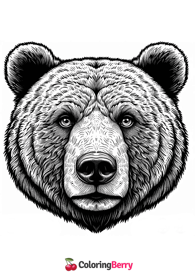 Brown Bear Head Coloring Page