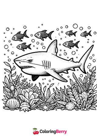 Bull Shark Coloring Page