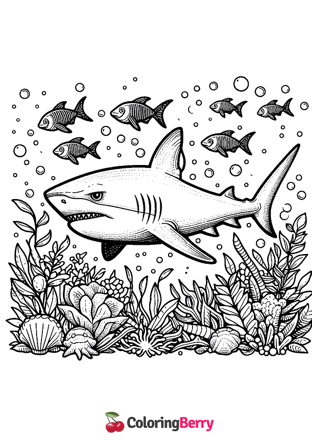 Bull Shark Coloring Page