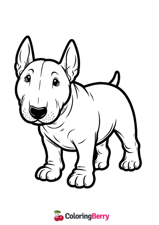 Bull Terrier Coloring Page