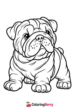 Bulldog Coloring Page